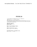 Secreted and transmembrane polypeptides and nucleic acids encoding the same diagram and image