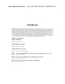 Secreted and transmembrane polypeptides and nucleic acids encoding the same diagram and image