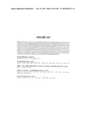 Secreted and transmembrane polypeptides and nucleic acids encoding the same diagram and image