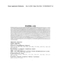 Secreted and transmembrane polypeptides and nucleic acids encoding the same diagram and image