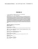 Secreted and transmembrane polypeptides and nucleic acids encoding the same diagram and image