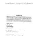 Secreted and transmembrane polypeptides and nucleic acids encoding the same diagram and image