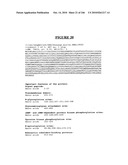 Secreted and transmembrane polypeptides and nucleic acids encoding the same diagram and image