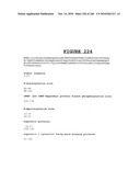 Secreted and transmembrane polypeptides and nucleic acids encoding the same diagram and image