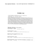 Secreted and transmembrane polypeptides and nucleic acids encoding the same diagram and image