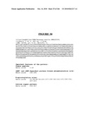 Secreted and transmembrane polypeptides and nucleic acids encoding the same diagram and image