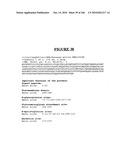 Secreted and transmembrane polypeptides and nucleic acids encoding the same diagram and image