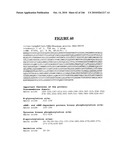 Secreted and transmembrane polypeptides and nucleic acids encoding the same diagram and image