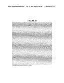 Secreted and transmembrane polypeptides and nucleic acids encoding the same diagram and image