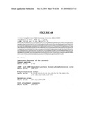 Secreted and transmembrane polypeptides and nucleic acids encoding the same diagram and image