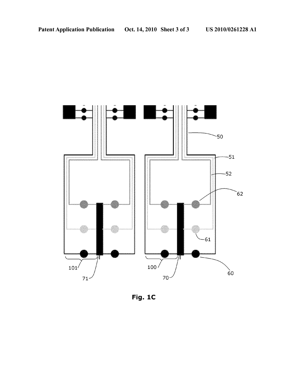 MULTIPLEXED SITES FOR POLYMER SYNTHESIS - diagram, schematic, and image 04