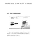 Dinucleotide MRNA CAP Analogs diagram and image