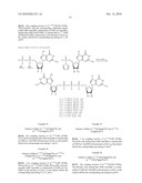 Dinucleotide MRNA CAP Analogs diagram and image