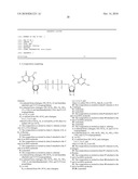 Dinucleotide MRNA CAP Analogs diagram and image