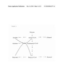 FERMENTATIVE PRODUCTION OF ACETONE FROM RENEWABLE RESOURCES BY MEANS OF NOVEL METABOLIC PATHWAY diagram and image