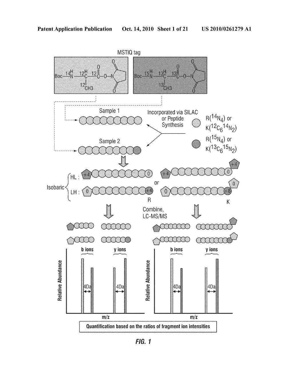 MASS SPECTRUM-BASED IDENTIFICATION AND QUANTITATION OF PROTEINS AND PEPTIDES - diagram, schematic, and image 02
