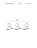 CONJUGATE FIBER HAVING LOW-TEMPERATURE PROCESSABILITY, NONWOVEN FABRIC AND FORMED ARTICLE USING THE CONJUGATE FIBER diagram and image