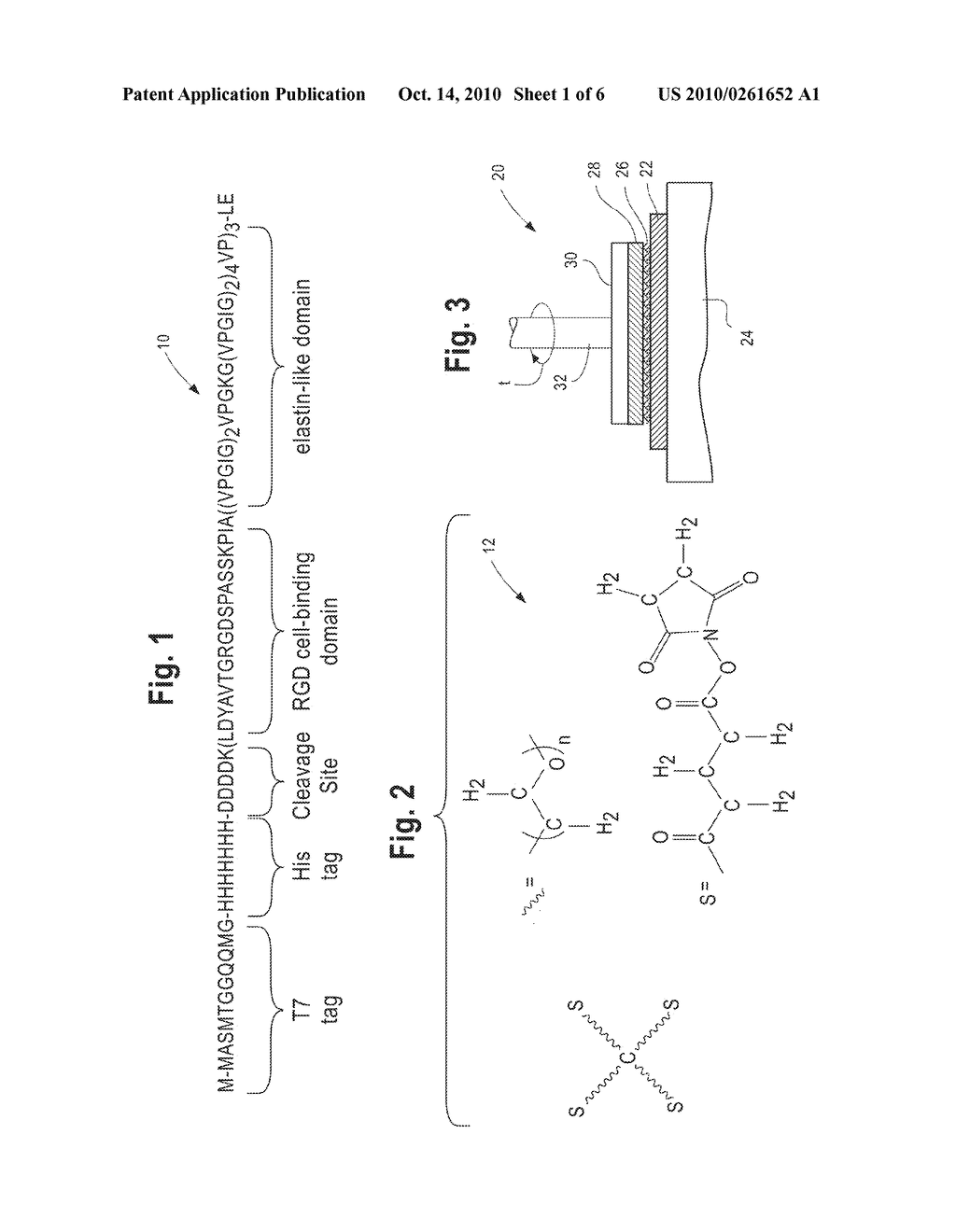 Tissue Adhesive Using Engineered Proteins - diagram, schematic, and image 02