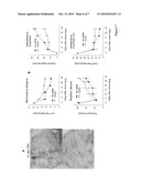 Use of a Granulin or a Granulin-Like Compound in the Therapy or Prophylaxis of Chronic Pains diagram and image