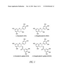 UTILIZATION OF MURAL THROMBUS FOR LOCAL DRUG DELIVERY INTO VASCULAR TISSUE diagram and image