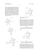 3- -D-RIBOFURANOSYLTHIAZOLO[4-5-d]PYRIMIDINE NUCLEOSIDES AND USES THEREOF diagram and image