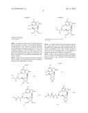 3- -D-RIBOFURANOSYLTHIAZOLO[4-5-d]PYRIMIDINE NUCLEOSIDES AND USES THEREOF diagram and image