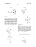 3- -D-RIBOFURANOSYLTHIAZOLO[4-5-d]PYRIMIDINE NUCLEOSIDES AND USES THEREOF diagram and image