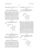 3- -D-RIBOFURANOSYLTHIAZOLO[4-5-d]PYRIMIDINE NUCLEOSIDES AND USES THEREOF diagram and image