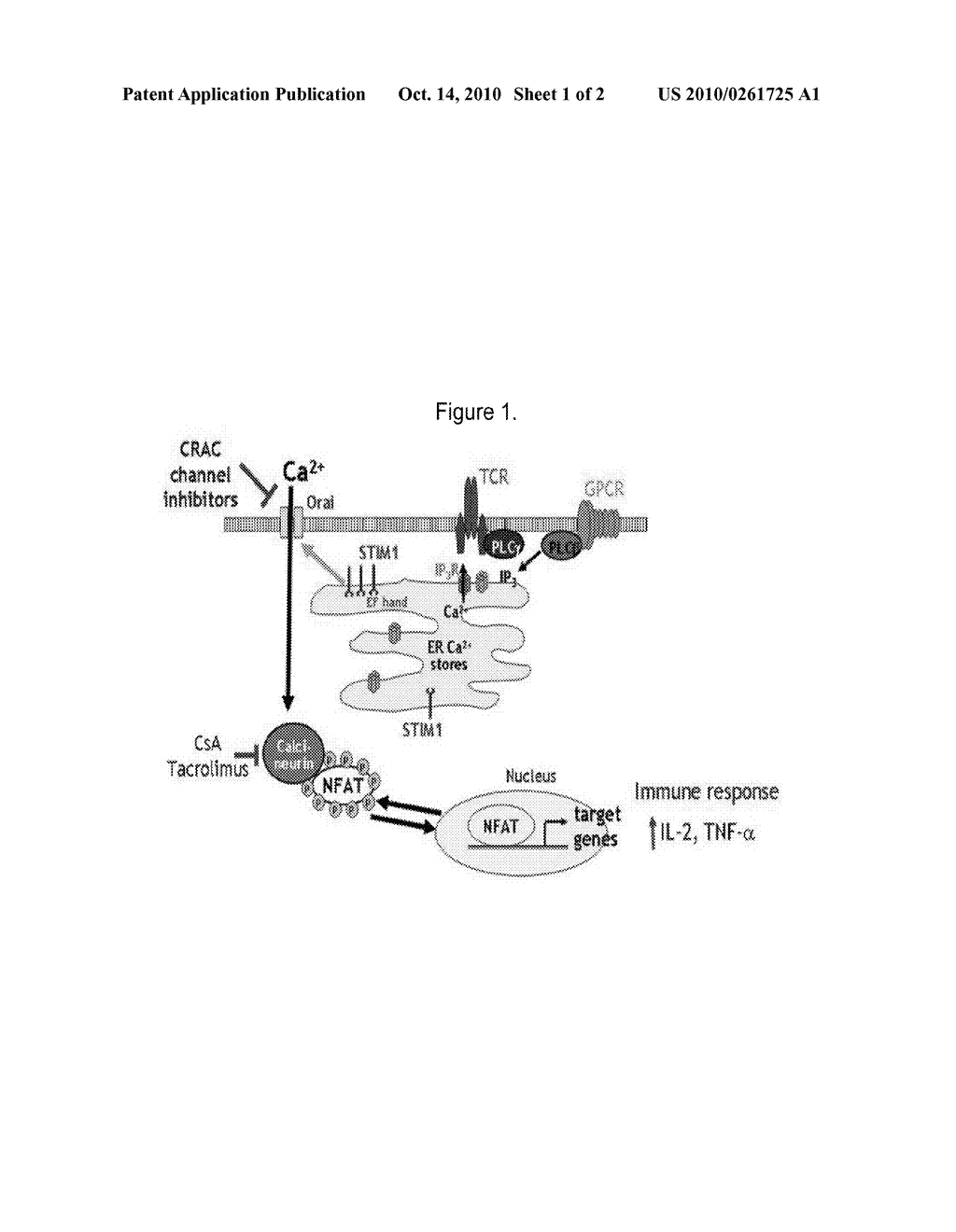 COMPOUNDS THAT MODULATE INTRACELLULAR CALCIUM - diagram, schematic, and image 02