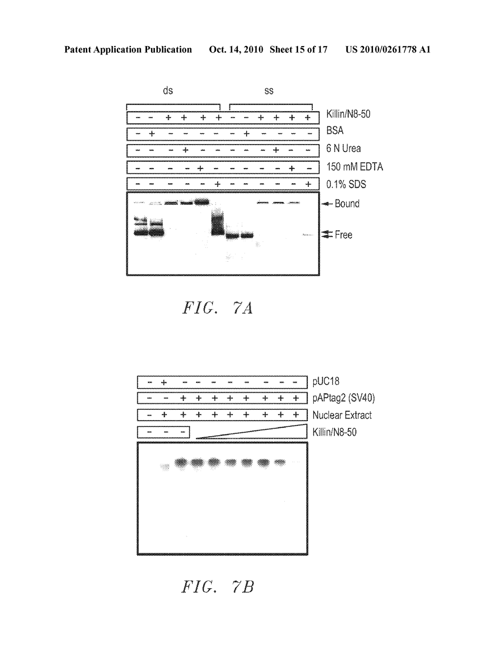 Tumor Suppressor Killin - diagram, schematic, and image 16