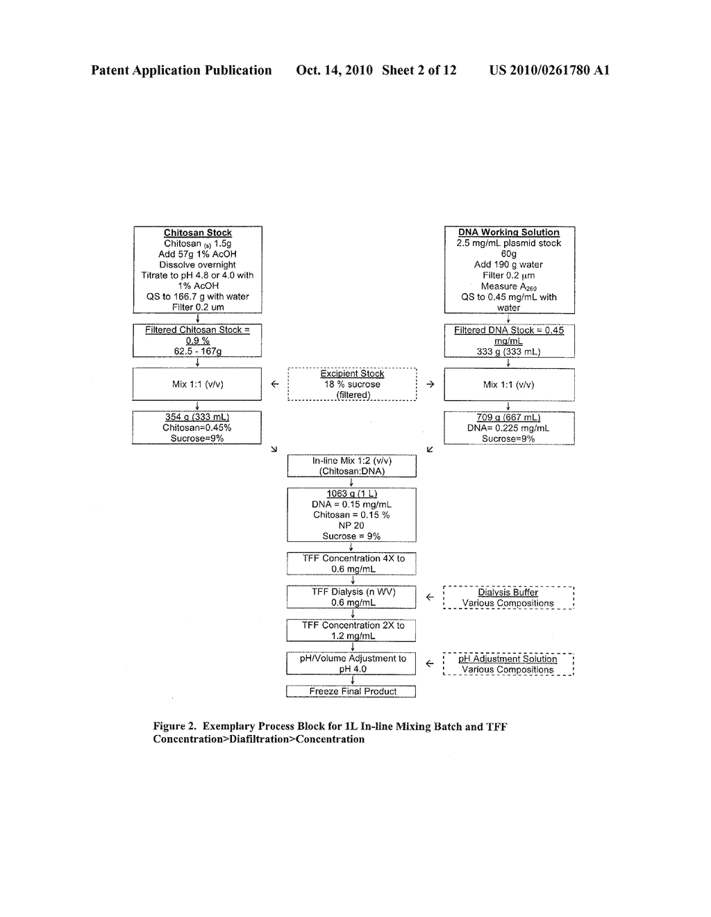 Highly Acidic Chitosan-Nucleic Acid Polyplex Compositions - diagram, schematic, and image 03