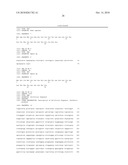 INTRA-VASCULAR KIDNEY GENE THERAPY WITH PLASMID ENCODING BMP-7 diagram and image