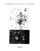 Inhibition of Bid-Induced Cell-Death Using Small Organic Molecules diagram and image