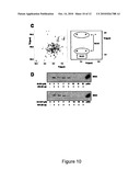 Inhibition of Bid-Induced Cell-Death Using Small Organic Molecules diagram and image