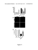 Inhibition of Bid-Induced Cell-Death Using Small Organic Molecules diagram and image