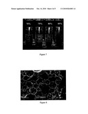 PARTICLE STABILISED HIGH INTERNAL PHASE EMULSIONS diagram and image