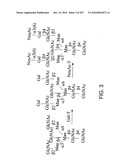 Factor VIII: remodeling and glycoconjugation of factor VIII diagram and image