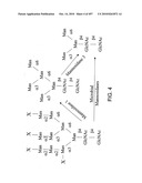 Factor VIII: remodeling and glycoconjugation of factor VIII diagram and image