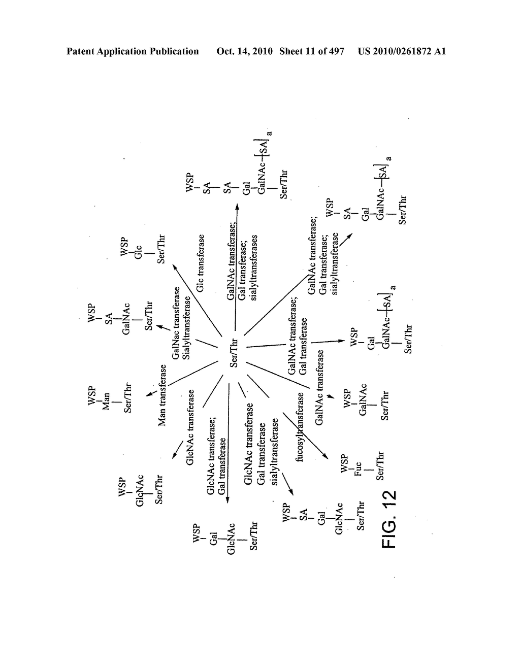 Factor VIII: remodeling and glycoconjugation of factor VIII - diagram, schematic, and image 12