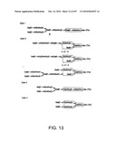 Factor VIII: remodeling and glycoconjugation of factor VIII diagram and image