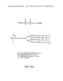 Factor VIII: remodeling and glycoconjugation of factor VIII diagram and image