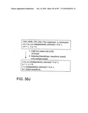 Factor VIII: remodeling and glycoconjugation of factor VIII diagram and image