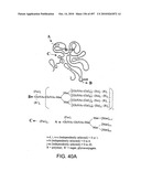 Factor VIII: remodeling and glycoconjugation of factor VIII diagram and image