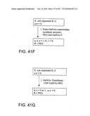 Factor VIII: remodeling and glycoconjugation of factor VIII diagram and image