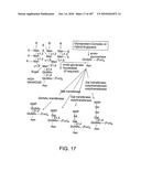 Factor VIII: remodeling and glycoconjugation of factor VIII diagram and image