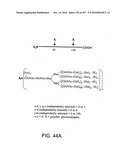 Factor VIII: remodeling and glycoconjugation of factor VIII diagram and image