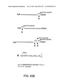 Factor VIII: remodeling and glycoconjugation of factor VIII diagram and image