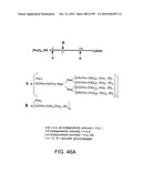 Factor VIII: remodeling and glycoconjugation of factor VIII diagram and image