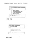 Factor VIII: remodeling and glycoconjugation of factor VIII diagram and image