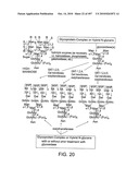 Factor VIII: remodeling and glycoconjugation of factor VIII diagram and image